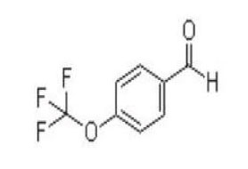 4-(Trifluoromethoxy)benzaldehyde
