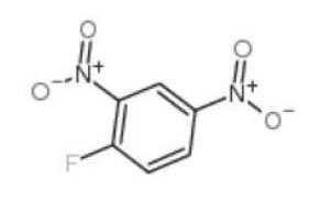 2,4-Dinitro-1-fluorobenzene