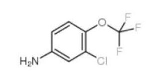 3-Chloro-4-(trifluoromethoxy)aniline