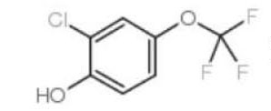 2-氯-4-(三氟甲氧基)苯酚