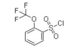 邻(三氟甲氧基)苯磺酰氯