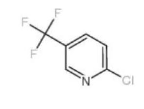 2-Chloro-5-trifluoromethylpyridine 